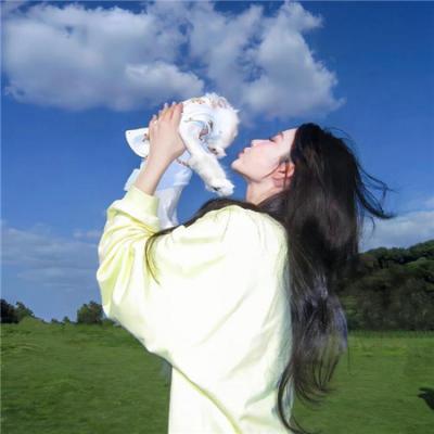 汪汪队立大功第八季